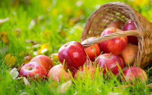 苹果怎么下载吃瓜网,体验吃瓜网精彩内容