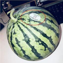 网红老师吃瓜,揭秘网络红人的真实一面