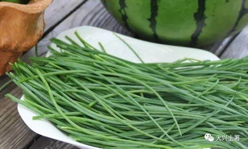 吃瓜网菜网红叫什么来着,揭秘那些让人垂涎欲滴的美食传奇