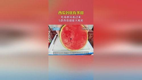 吃瓜官网吃瓜攻略大揭秘,官网大揭秘带你轻松吃瓜