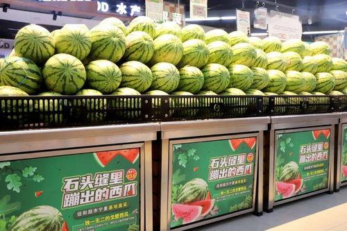 吃瓜网每日大赛最新,精彩对决，谁将脱颖而出？