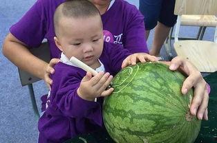 吃瓜网每日大赛最新,精彩对决，谁将脱颖而出？