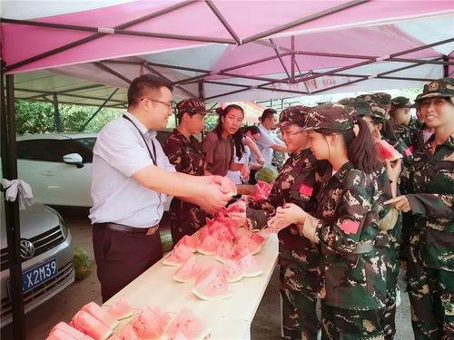 巢湖一中网课兄妹吃瓜,揭秘网课背后的温馨瞬间