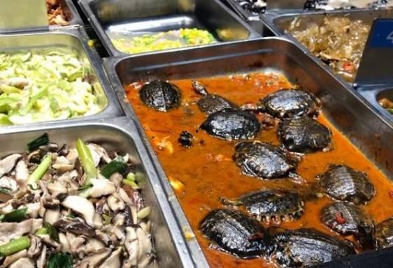 西南林业大学吃瓜网盘,揭秘校园生活新潮流