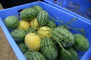 湘潭网红吃瓜群微信号是多少