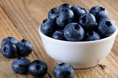 黑瓜吃料正能量官网蘑菇,探索蘑菇的神奇世界，开启健康生活之旅