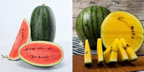 51cg吃瓜是什么网