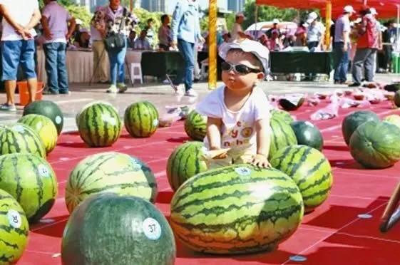 每日吃瓜大赛官网入口,揭秘娱乐圈幕后风云，尽享娱乐盛宴