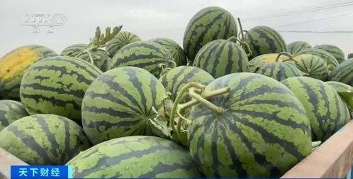 63吃瓜网,揭秘娱乐圈最新热点，带你领略明星幕后故事