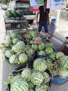 湘潭网红吃瓜事件视频