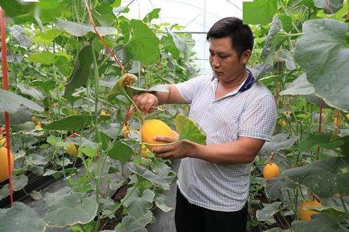 所有吃瓜网红是谁啊图片,全网热议的“吃瓜网红”阵容大起底