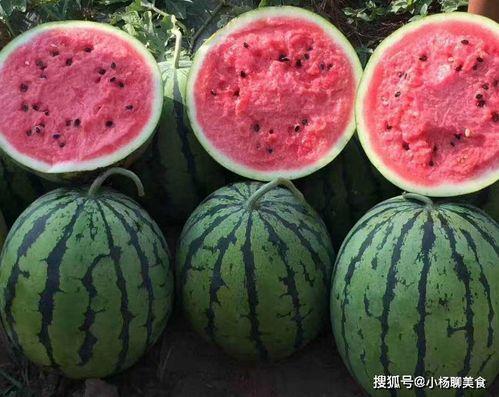 吃瓜网红文案怎么写好一点,瓜界达人教你轻松写出爆款吃瓜文案