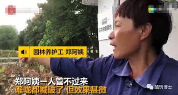 抖音轩姨网红吃瓜,揭秘网红幕后故事