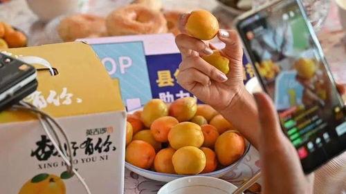 新疆网红事件吃瓜视频