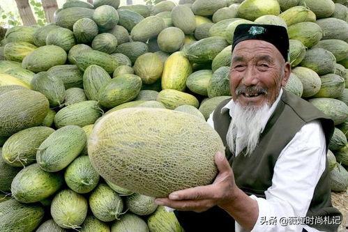 新疆网红事件吃瓜视频