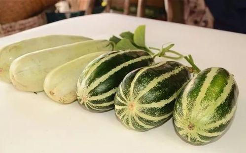 哪种地方可以吃网红瓜呢,探寻各地特色美食打卡地