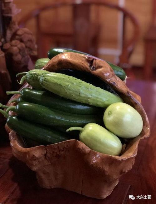 哪种地方可以吃网红瓜呢,探寻各地特色美食打卡地