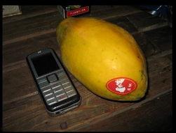 吃瓜的台湾网红是谁,台湾网红“吃瓜达人”揭秘娱乐圈幕后故事