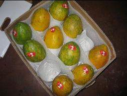 吃瓜的台湾网红是谁,台湾网红“吃瓜达人”揭秘娱乐圈幕后故事