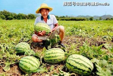 吃瓜网三条线路,三条神秘线路背后的惊天秘密