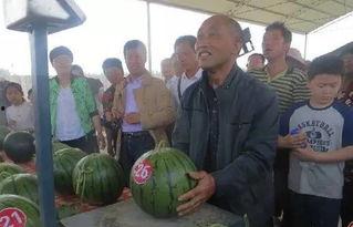 肇庆吃瓜群众网红事件,网络舆论的风暴与反思