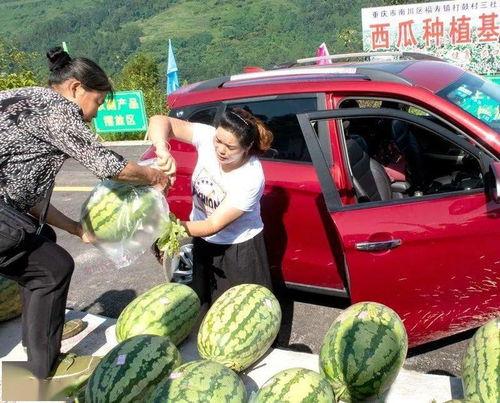 肇庆吃瓜群众网红事件,网络舆论的风暴与反思