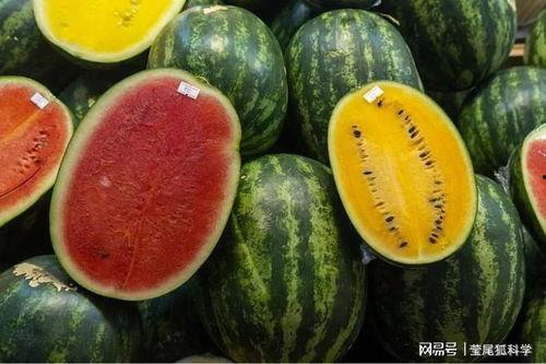 长春网红吃瓜事件真相,真相背后的网络风波