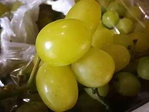 网爆吃瓜日韩精品