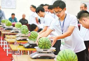 巢湖一中网课事件吃瓜,揭秘背后真相与网络舆论的漩涡