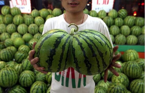 朝阳人人吃瓜网,人人吃瓜网带你揭秘热点事件