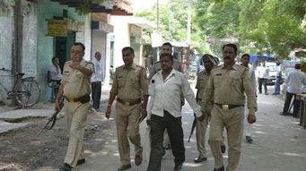 温县网红吃瓜事件始末,一场网络狂欢背后的真相与反思