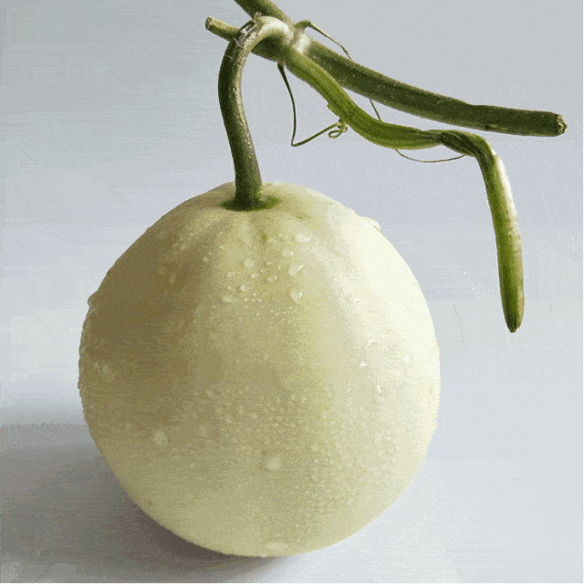 吃瓜网官网金华,吃瓜网带你领略这座城市的独特魅力