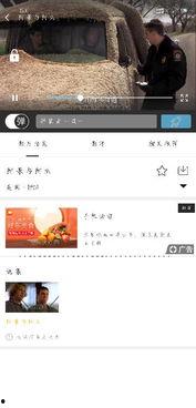 娱乐吃瓜摄影师百度云网盘,百度云网盘中的独家幕后故事