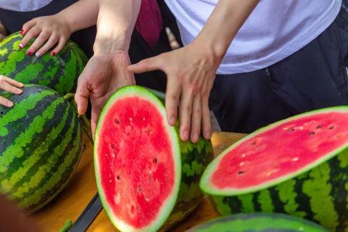 学校吃瓜网,揭秘吃瓜网背后的校园热点