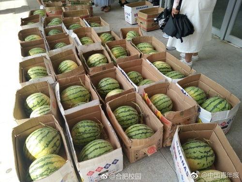 学校吃瓜网,揭秘吃瓜网背后的校园热点