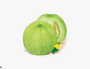 吃瓜网红照片下载安装