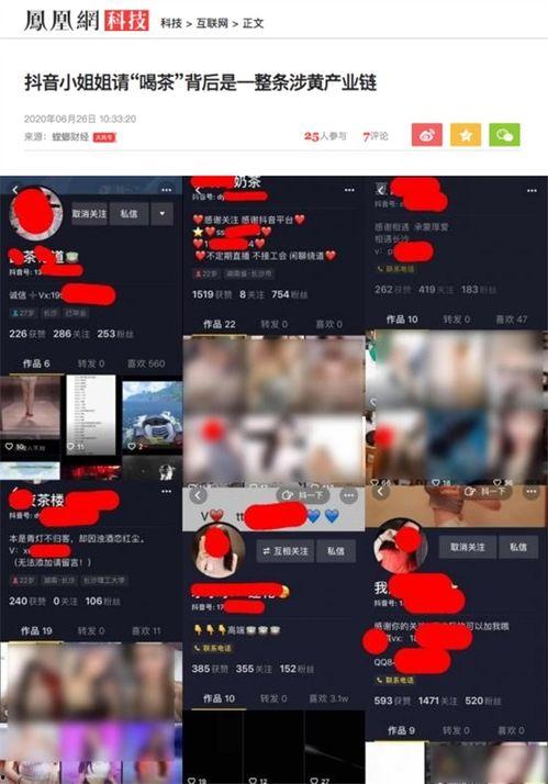 QQ各大抖音网红吃瓜群白嫖,白嫖现象背后的真相