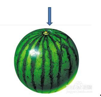 吃网瓜的好坏怎么判断,一网打尽真假美味