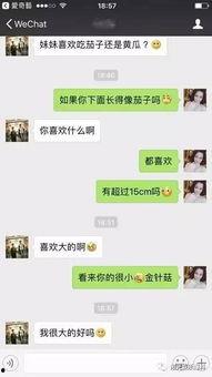 网红聊天记录吃瓜嫂子,吃瓜嫂子揭秘娱乐圈幕后真相