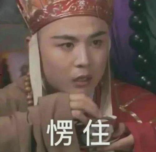 吃瓜被网暴小说后续,网暴背后的真相与反思