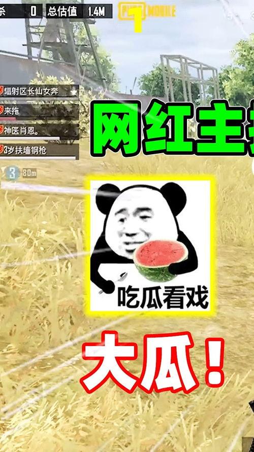 网红吃瓜塌房文案图片